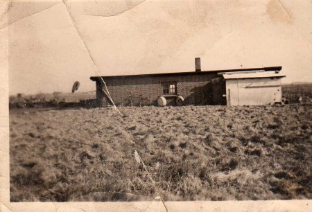 12. Bunker in den Archsumer Wiesen